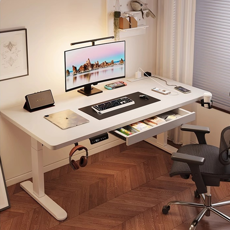 Dual Monitor Desk Setup - Scrivania Elettrica Regolabile in Altezza con