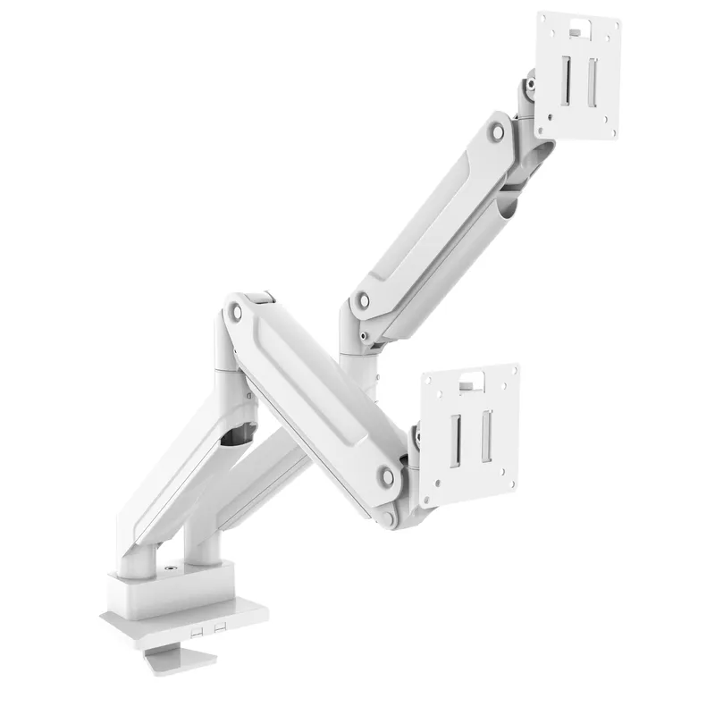 Dual Monitor Desk Setup - Supporto per Monitor a Doppio Braccio,